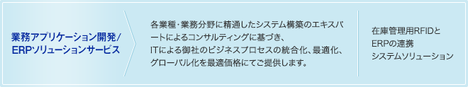 業務アプリケーション開発／ERPソリューションサービス